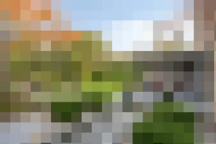 Van de Veldelaan 958 Alkmaar thumbnail 31