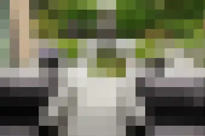 Van de Veldelaan 958 Alkmaar thumbnail 32