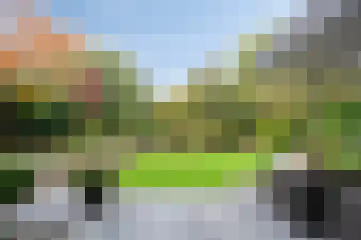 Van de Veldelaan 958 Alkmaar thumbnail 33