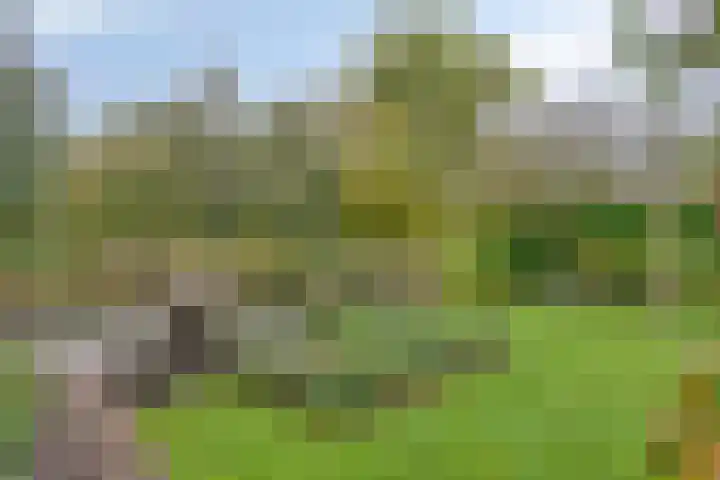 Van de Veldelaan 958 Alkmaar thumbnail 34