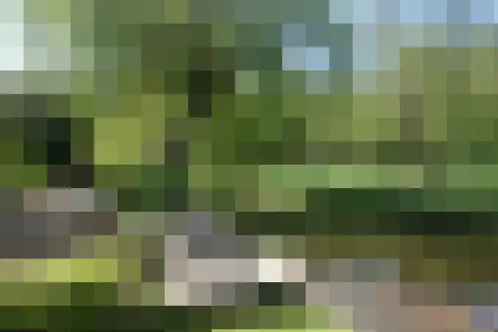 Van de Veldelaan 958 Alkmaar thumbnail 35