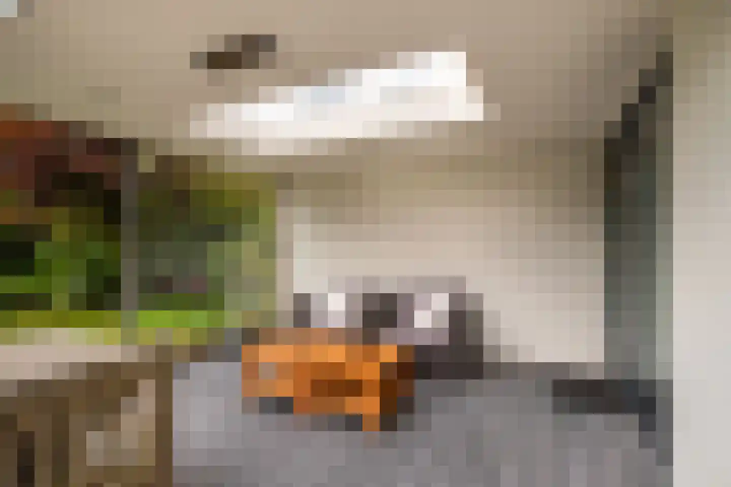 Van de Veldelaan 958 Alkmaar thumbnail 35