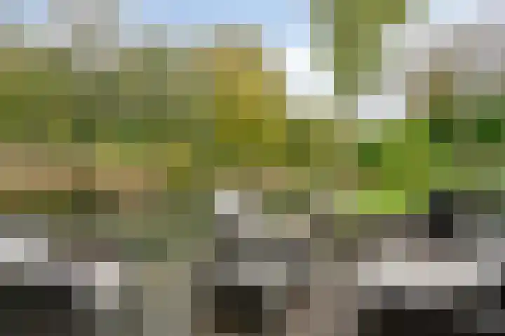 Van de Veldelaan 958 Alkmaar thumbnail 36