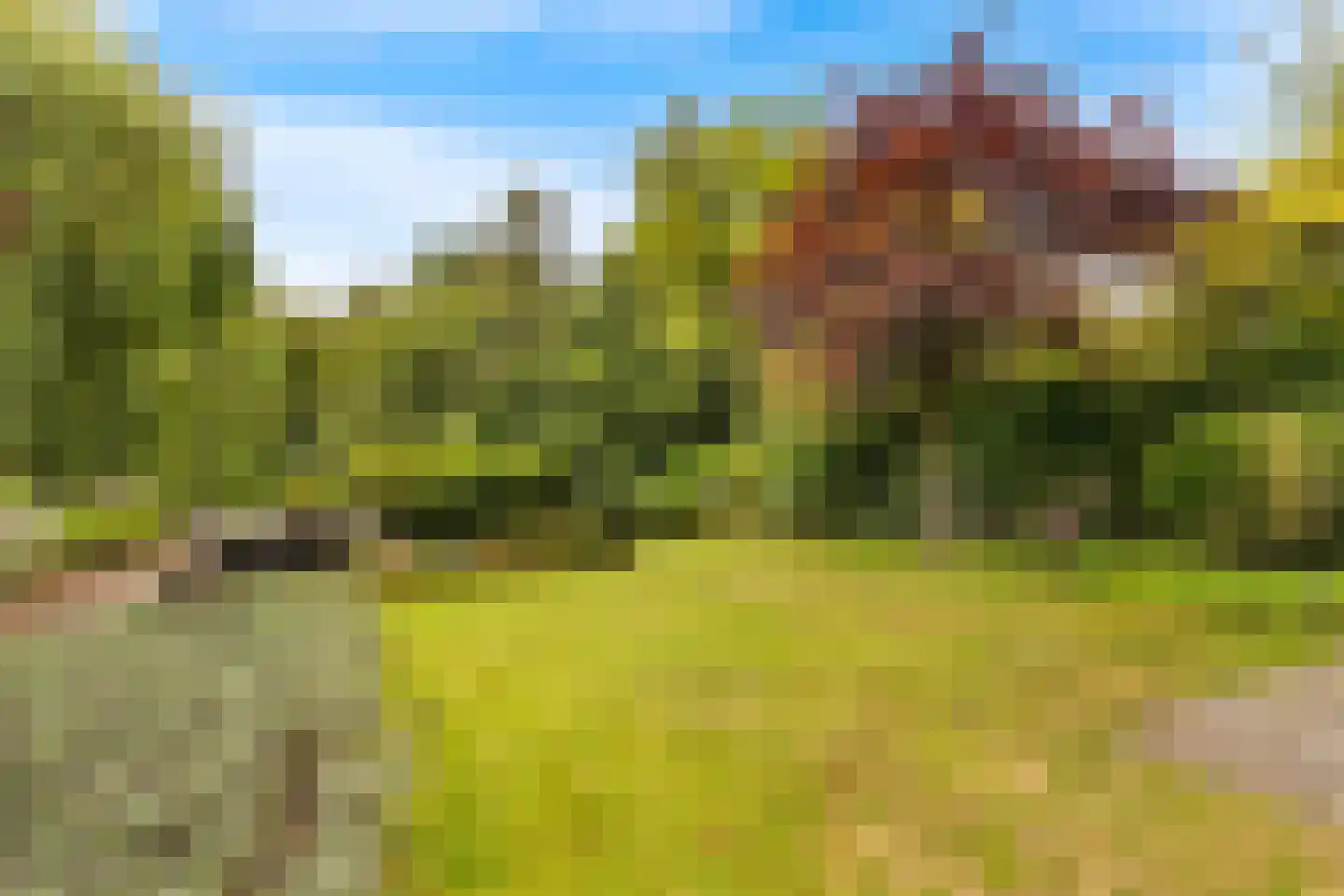 Van de Veldelaan 958 Alkmaar thumbnail 36