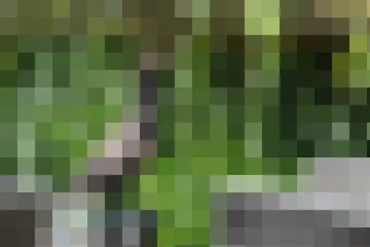 Van de Veldelaan 958 Alkmaar thumbnail 37