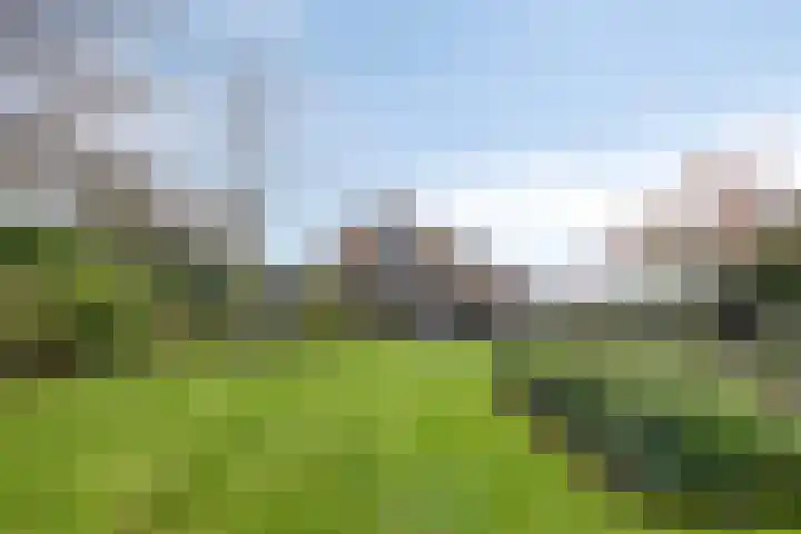 Van de Veldelaan 958 Alkmaar thumbnail 38