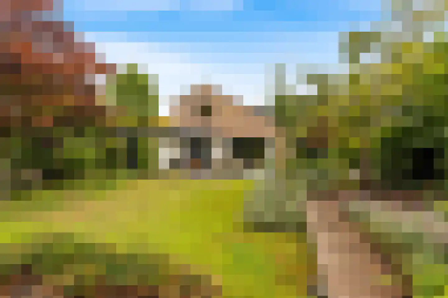 Van de Veldelaan 958 Alkmaar thumbnail 39