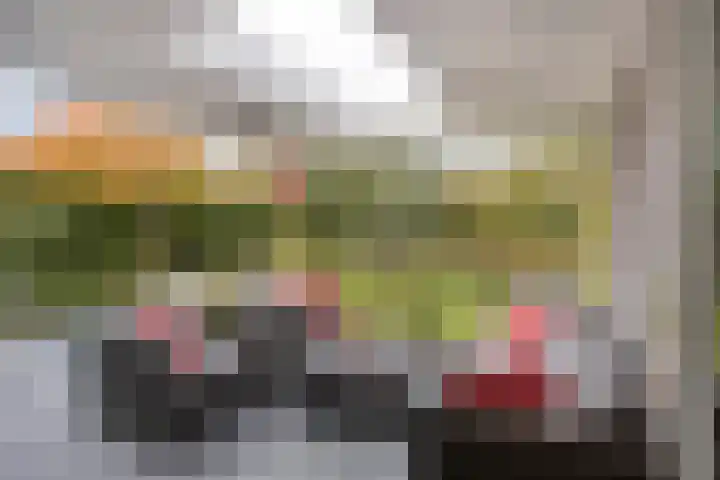 Van de Veldelaan 958 Alkmaar thumbnail 4