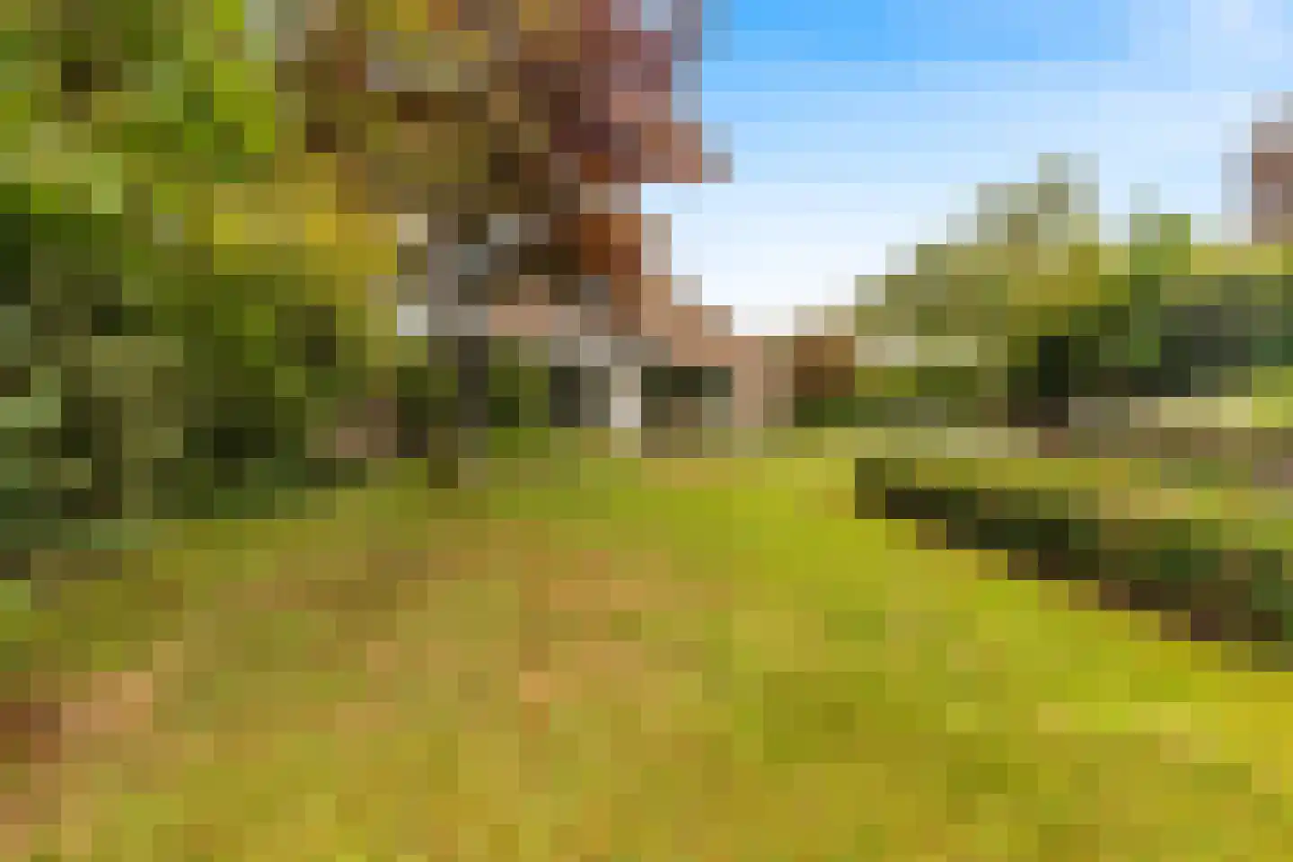 Van de Veldelaan 958 Alkmaar thumbnail 40