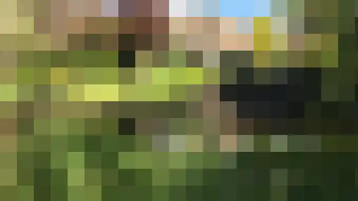 Van de Veldelaan 958 Alkmaar thumbnail 40