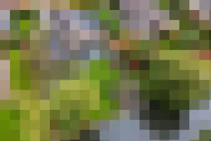 Van de Veldelaan 958 Alkmaar thumbnail 42