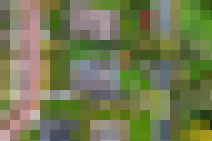 Van de Veldelaan 958 Alkmaar thumbnail 43