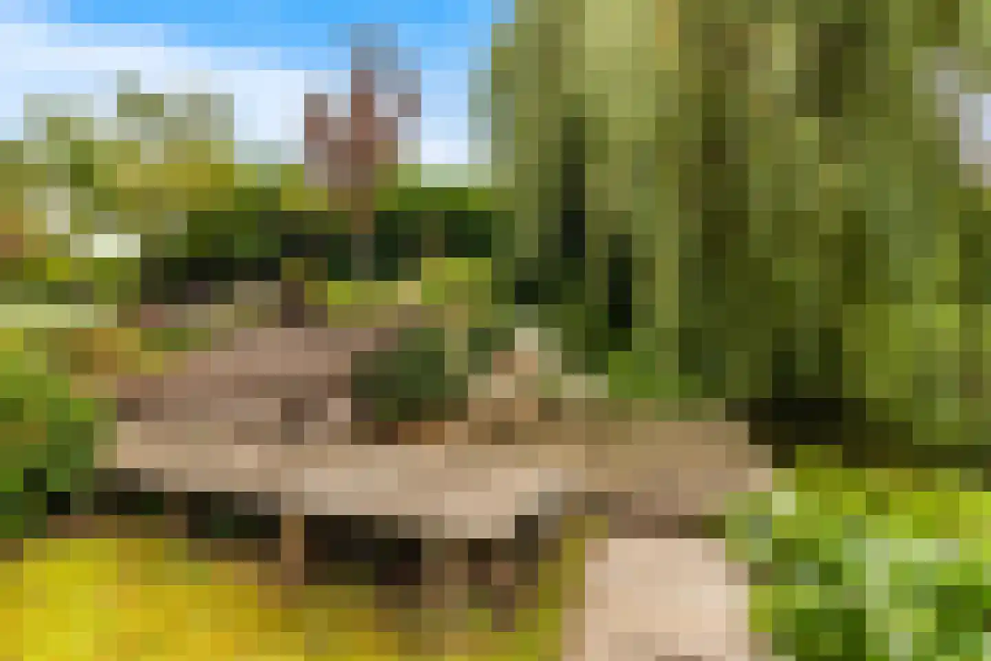 Van de Veldelaan 958 Alkmaar thumbnail 43