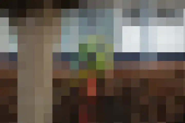 Van de Veldelaan 958 Alkmaar thumbnail 44