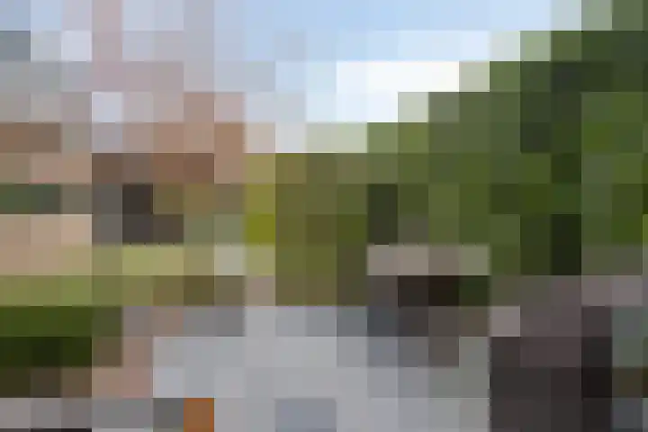Van de Veldelaan 958 Alkmaar thumbnail 45
