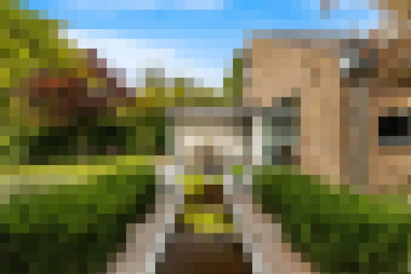 Van de Veldelaan 958 Alkmaar thumbnail 45