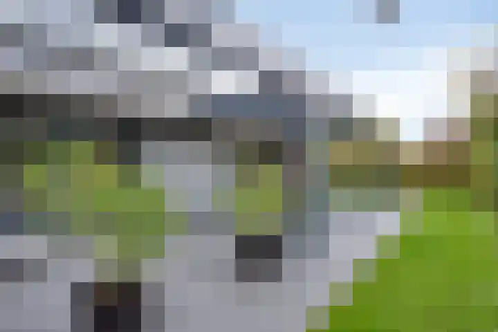 Van de Veldelaan 958 Alkmaar thumbnail 46