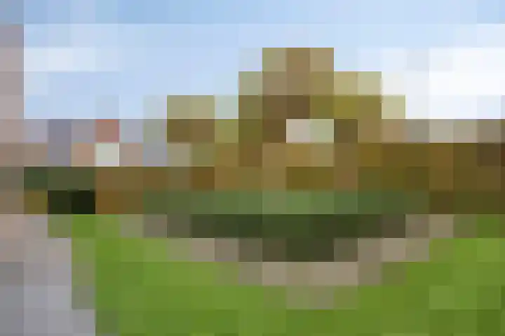 Van de Veldelaan 958 Alkmaar thumbnail 48