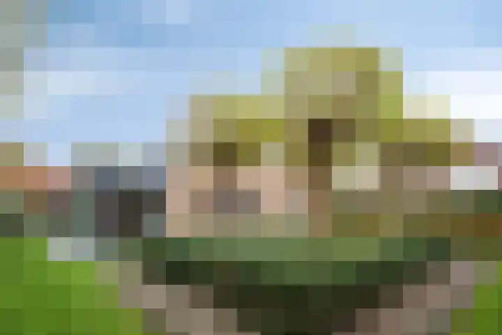 Van de Veldelaan 958 Alkmaar thumbnail 49