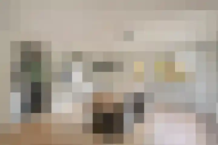 Van de Veldelaan 958 Alkmaar thumbnail 5