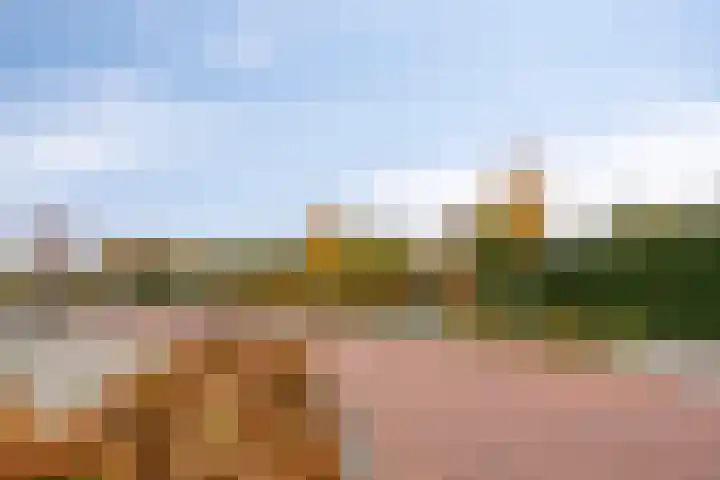 Van de Veldelaan 958 Alkmaar thumbnail 52
