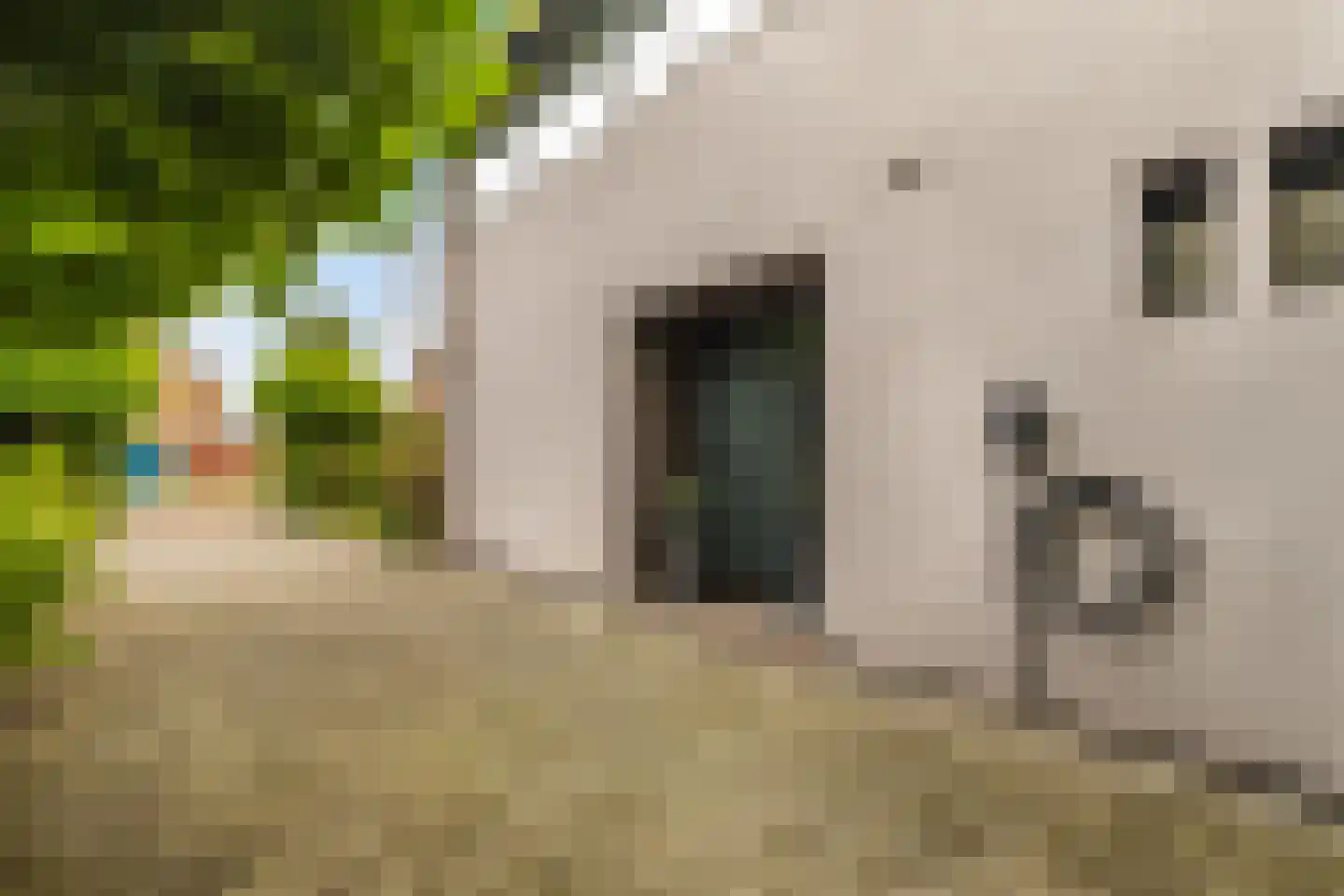 Van de Veldelaan 958 Alkmaar thumbnail 53