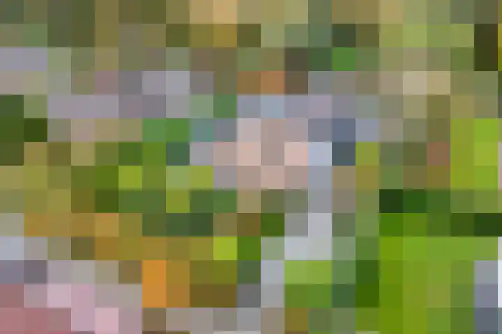 Van de Veldelaan 958 Alkmaar thumbnail 53