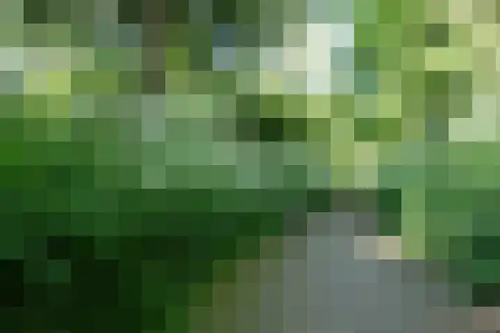 Van de Veldelaan 958 Alkmaar thumbnail 57