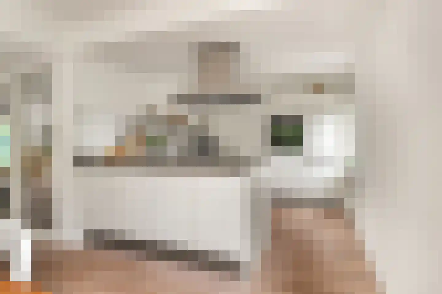 Van de Veldelaan 958 Alkmaar thumbnail 8