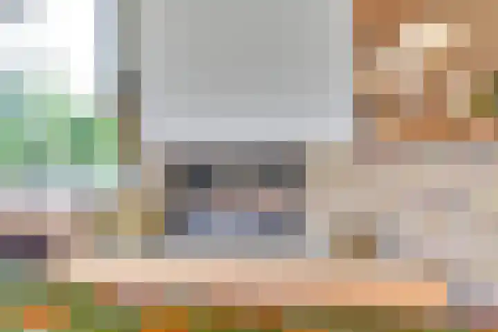Van de Veldelaan 960 Alkmaar thumbnail 11