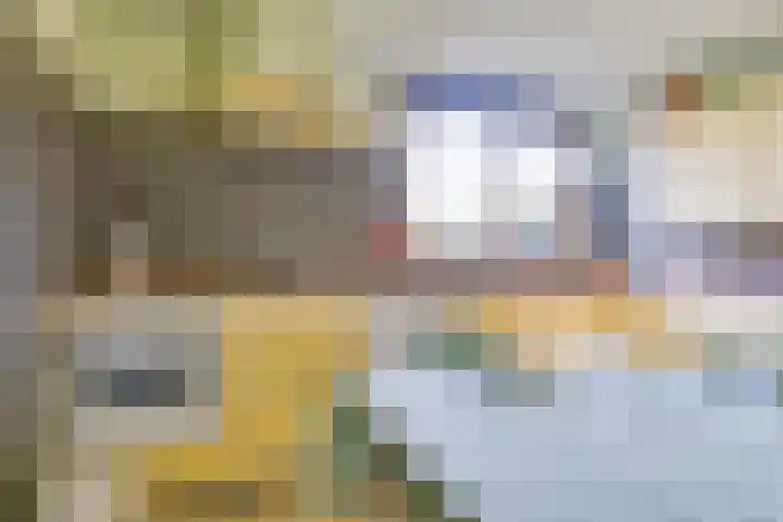 Van de Veldelaan 960 Alkmaar thumbnail 16