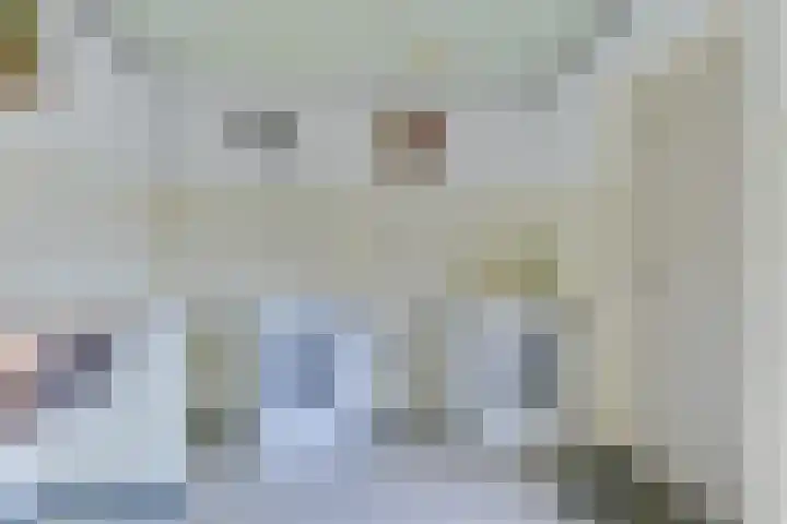 Van de Veldelaan 960 Alkmaar thumbnail 17