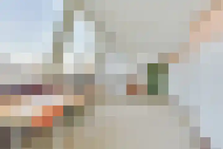 Van de Veldelaan 960 Alkmaar thumbnail 34