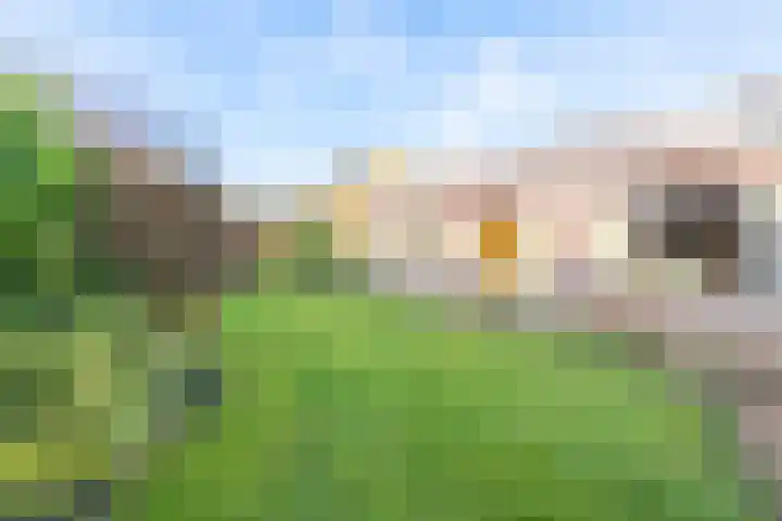 Van de Veldelaan 960 Alkmaar thumbnail 44