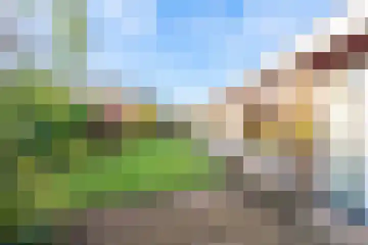 Van de Veldelaan 960 Alkmaar thumbnail 46