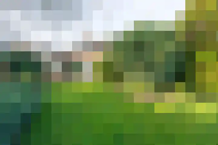 Van de Veldelaan 960 Alkmaar thumbnail 48