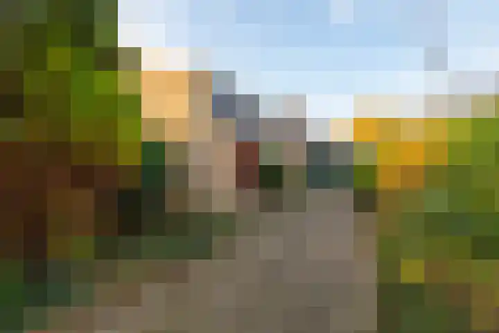 Van de Veldelaan 960 Alkmaar thumbnail 5
