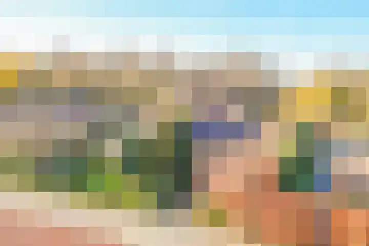 Van de Veldelaan 960 Alkmaar thumbnail 54