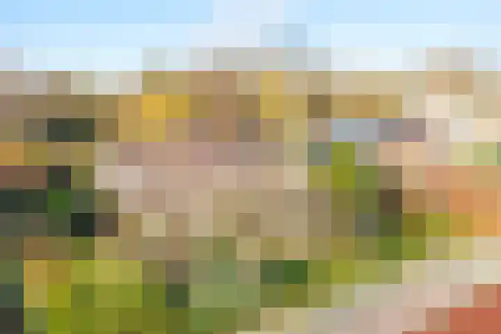 Van de Veldelaan 960 Alkmaar thumbnail 55