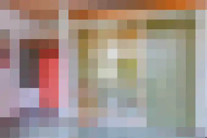 Van de Veldelaan 960 Alkmaar thumbnail 7