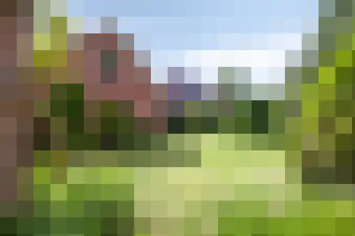 Van de Veldelaan 966 Alkmaar thumbnail 24