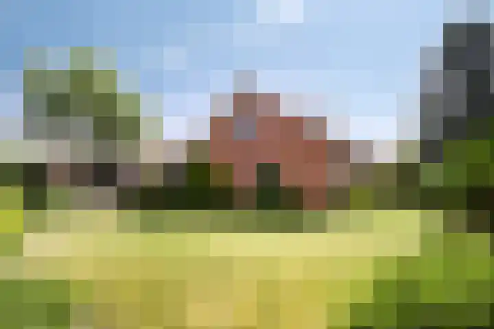 Van de Veldelaan 966 Alkmaar thumbnail 25
