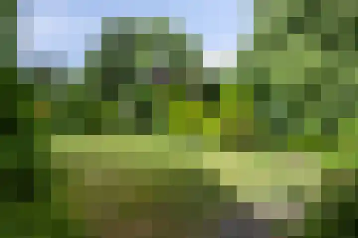 Van de Veldelaan 966 Alkmaar thumbnail 26