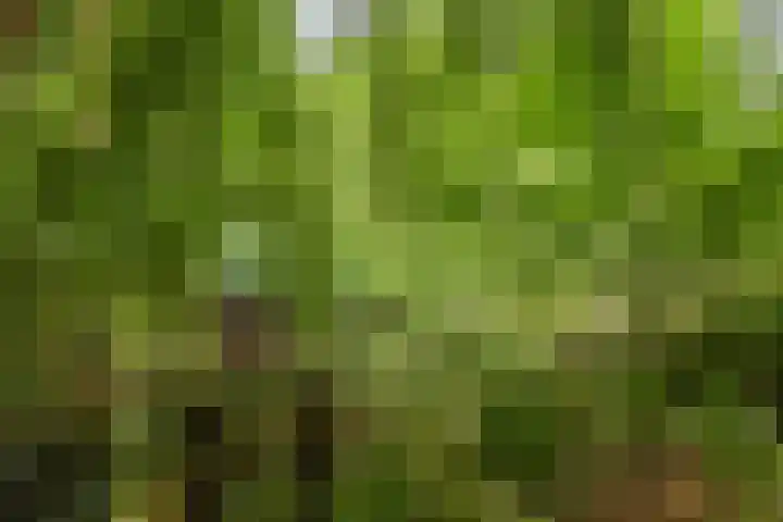 Van de Veldelaan 966 Alkmaar thumbnail 27