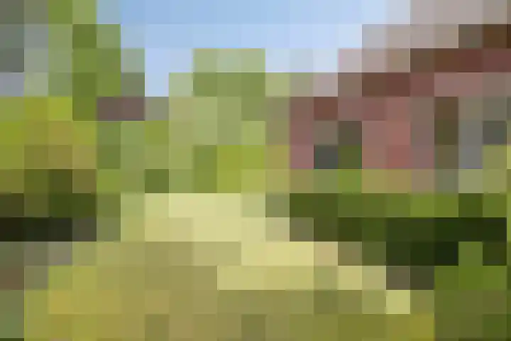 Van de Veldelaan 966 Alkmaar thumbnail 28