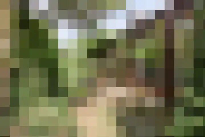 Van de Veldelaan 966 Alkmaar thumbnail 29