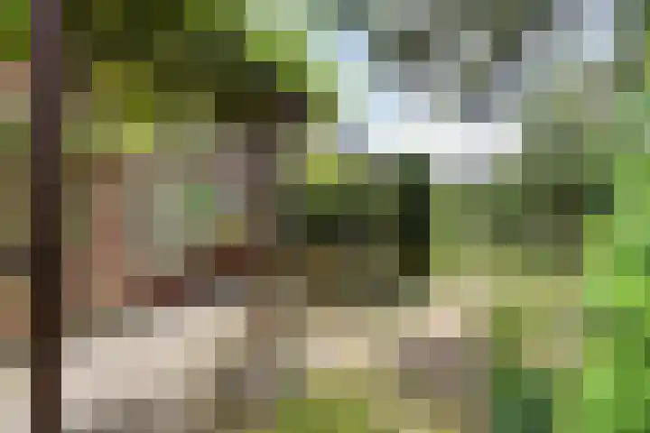 Van de Veldelaan 966 Alkmaar thumbnail 30