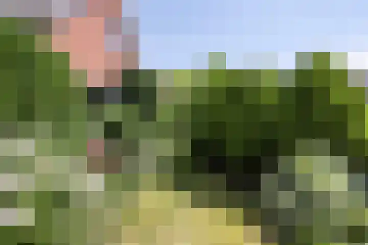 Van de Veldelaan 966 Alkmaar thumbnail 31