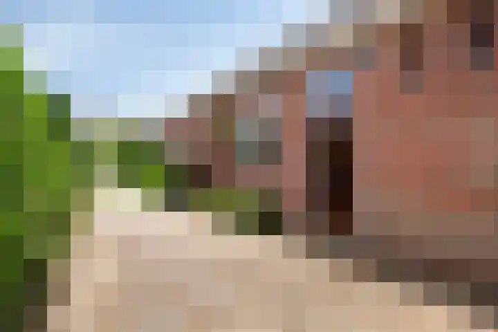 Van de Veldelaan 966 Alkmaar thumbnail 32
