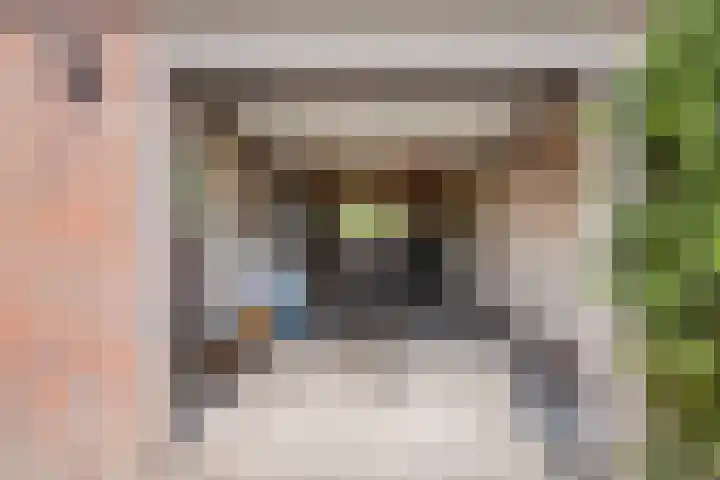 Van de Veldelaan 966 Alkmaar thumbnail 33